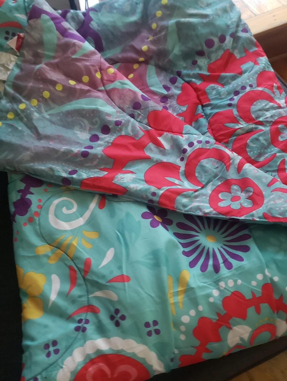 Disney Elena of Avalor Hot Pink and Turquoise Floral Throw